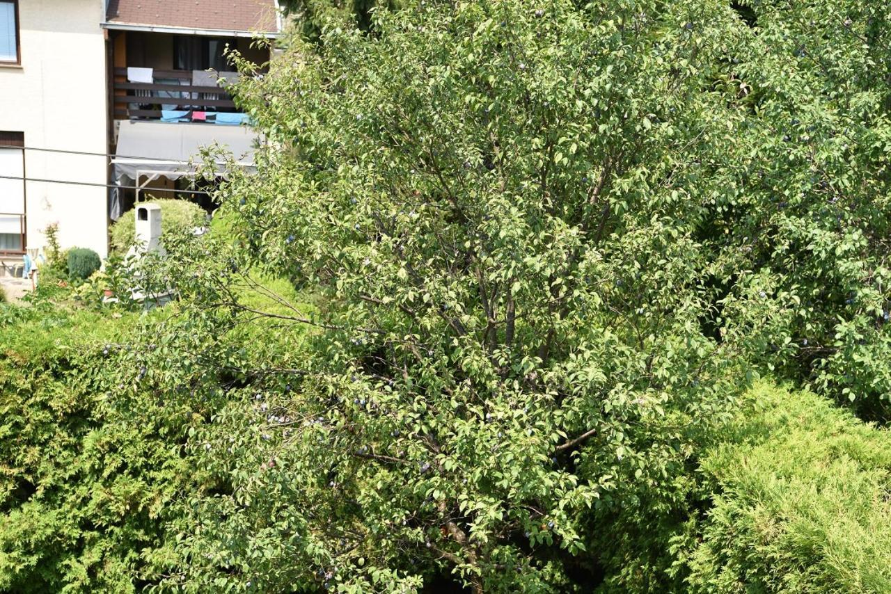 Apartman Jadranka Zaprešić المظهر الخارجي الصورة